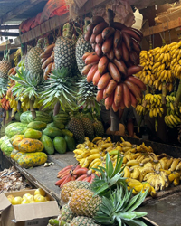 zanzibar_fruits